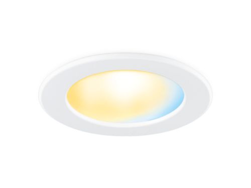 Downlight 5/6 inch Retrofit Downlight 8.3W