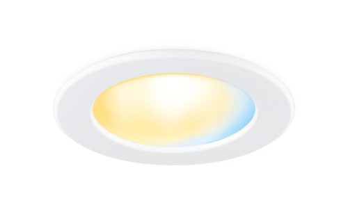 Downlight 5/6 inch Retrofit Downlight 8.3W