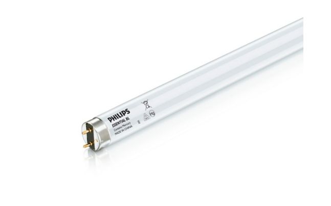 Essential BL TL/TL-D