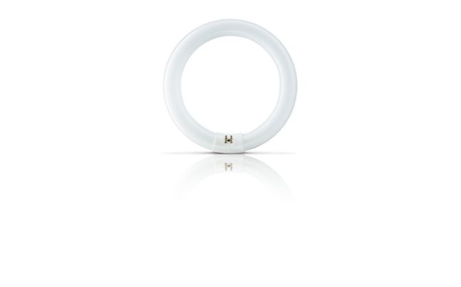Actinic BL TL-E