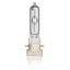 MSD Gold 300/2 MiniFastFit 1CT/16