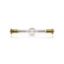 MSR Gold 700 SA/2 DE 1CT/4