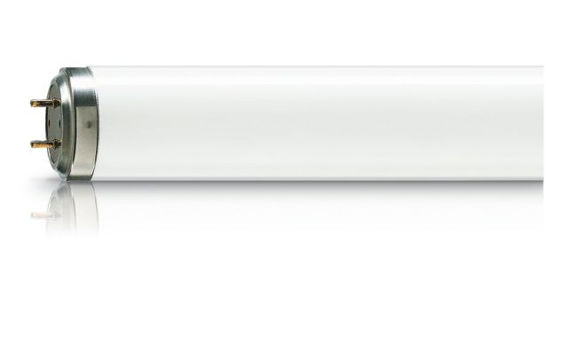 Médicas UVA