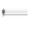 Actinic BL TL 40W/10 SLV/25