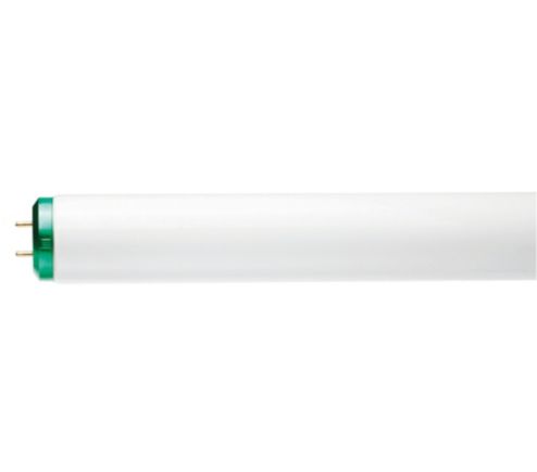 F20T12/WW ALTO 30PK