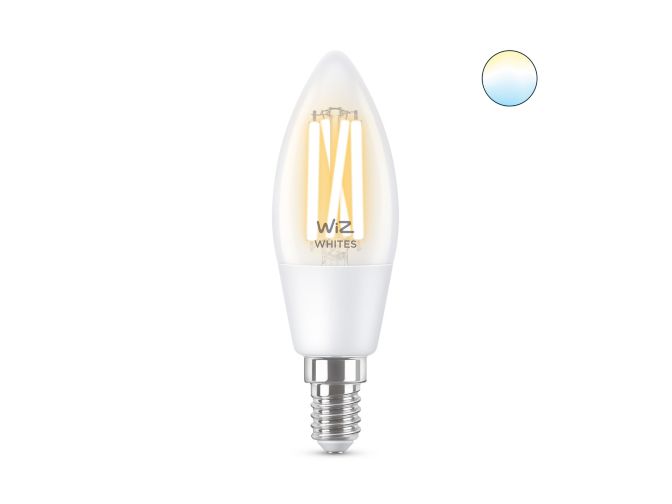 main.alt.text.RTP.LED-lamp Filament doorzichtig C35 E14