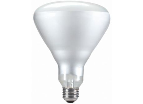 65BR/FL60/LL 120V 4/2 TP