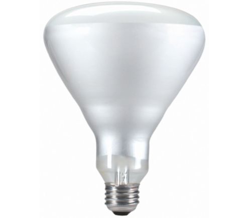 65BR/FL60/LL 120V 4/2 TP