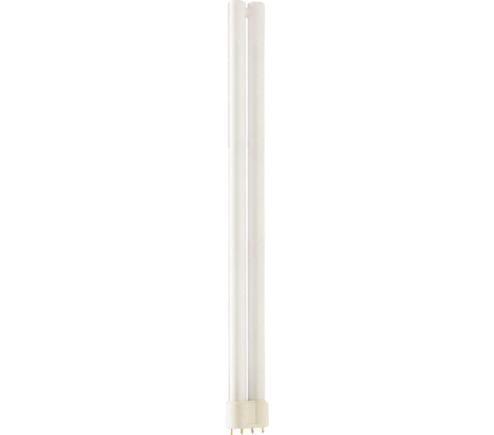 MASTER PL-L Xtra 36W/830/4P 1CT/25