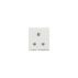 Switches & Sockets 2/3 Pin socket