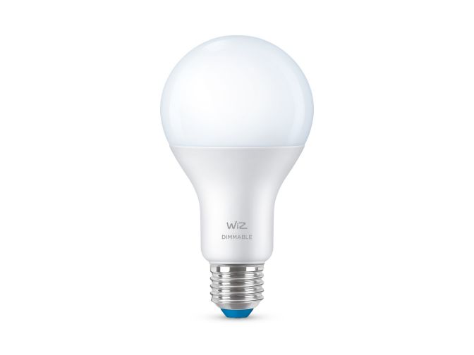 main.alt.text.RTP.LED Lamp Bulb A21 E26