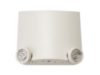 PathLinx Emergency Light