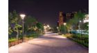 Park lighting with TrueForce LED Public (Road-SON)
