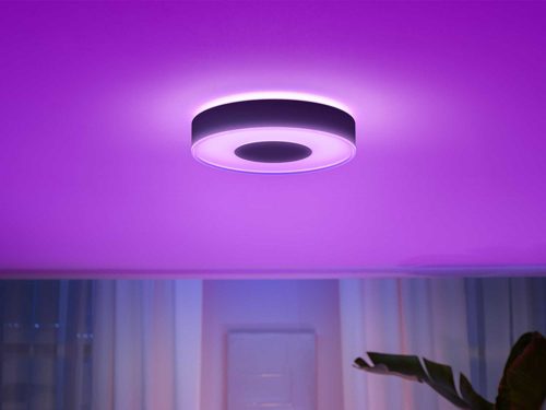 Milieuactivist Rose kleur lichten Hue White and Color Ambiance Infuse middelgrote plafondlamp | Philips Hue NL