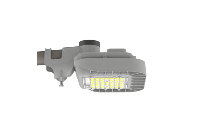 EssentialForce Plus