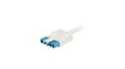Connector- Wieland DPP01