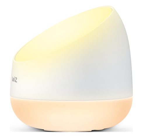 WiZ Luminaire Squire