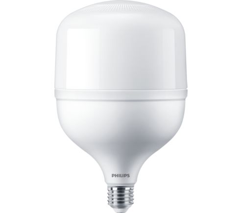 afdrijven Bang om te sterven compenseren TForce Core HB 50W E27 865 GN3 | 929002408808 | Philips lighting