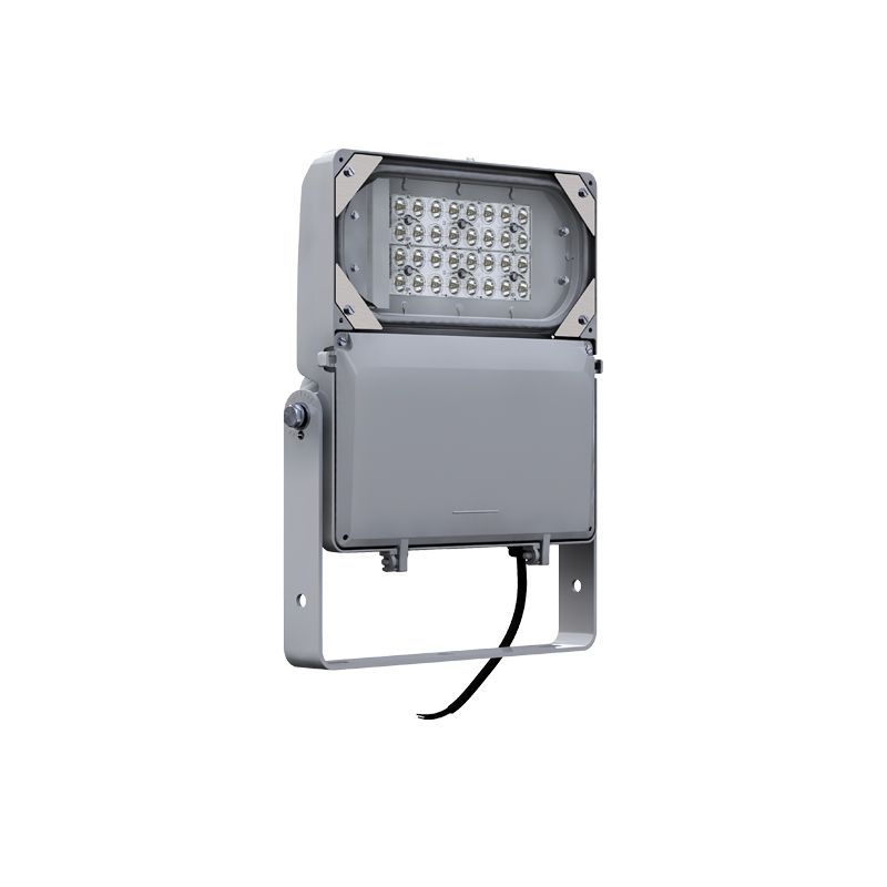 DuraForm LED floodlight Small FLDS