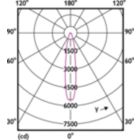 Light Distribution Diagram