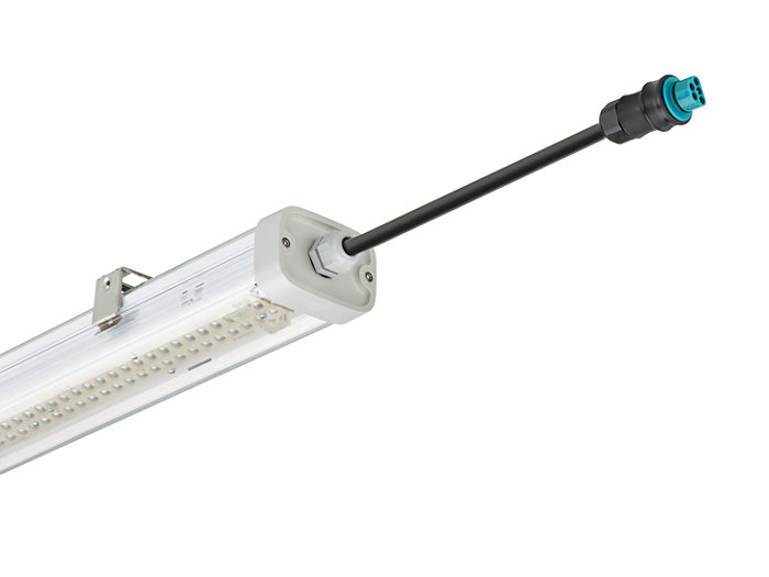 Pacific LED gen5 with Wieland connector