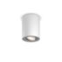 Hue White ambiance 柱狀單筒聚光燈