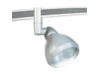 Stasis Incandescent PAR38