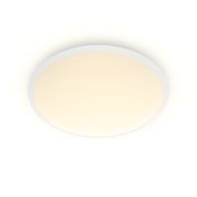 Philips (PHL) Plafondlampen Canaval plafondlamp, 12 W