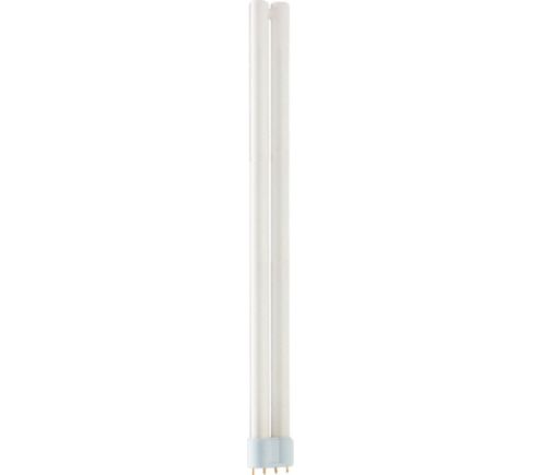 MASTER PL-L Polar 36W/840/4P 1CT/25