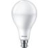 LED Bulb 160W A80 B22