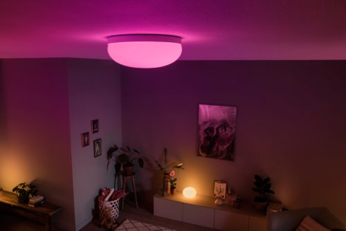 dat is alles Momentum Brawl Hue White and color ambiance Flourish ceiling light | Philips Hue US