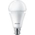 LED Bulb 60W A67 B22