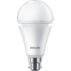 LED Bulb