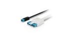 Connector- Wieland DPP02