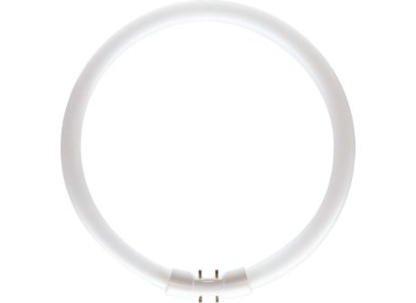 MASTER TL5 Circular 40W/840 1CT/10