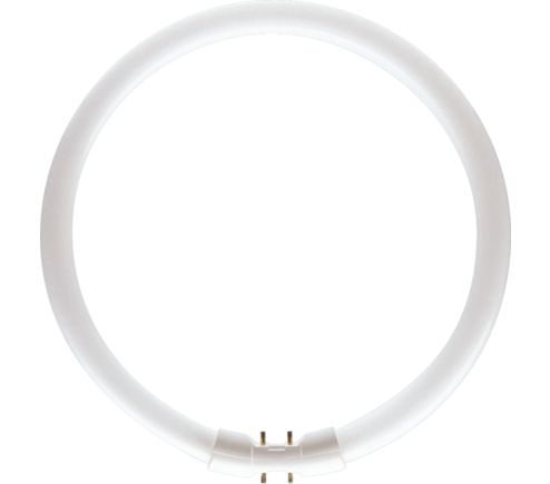 MASTER TL5 Circular 40W/840 1CT/10