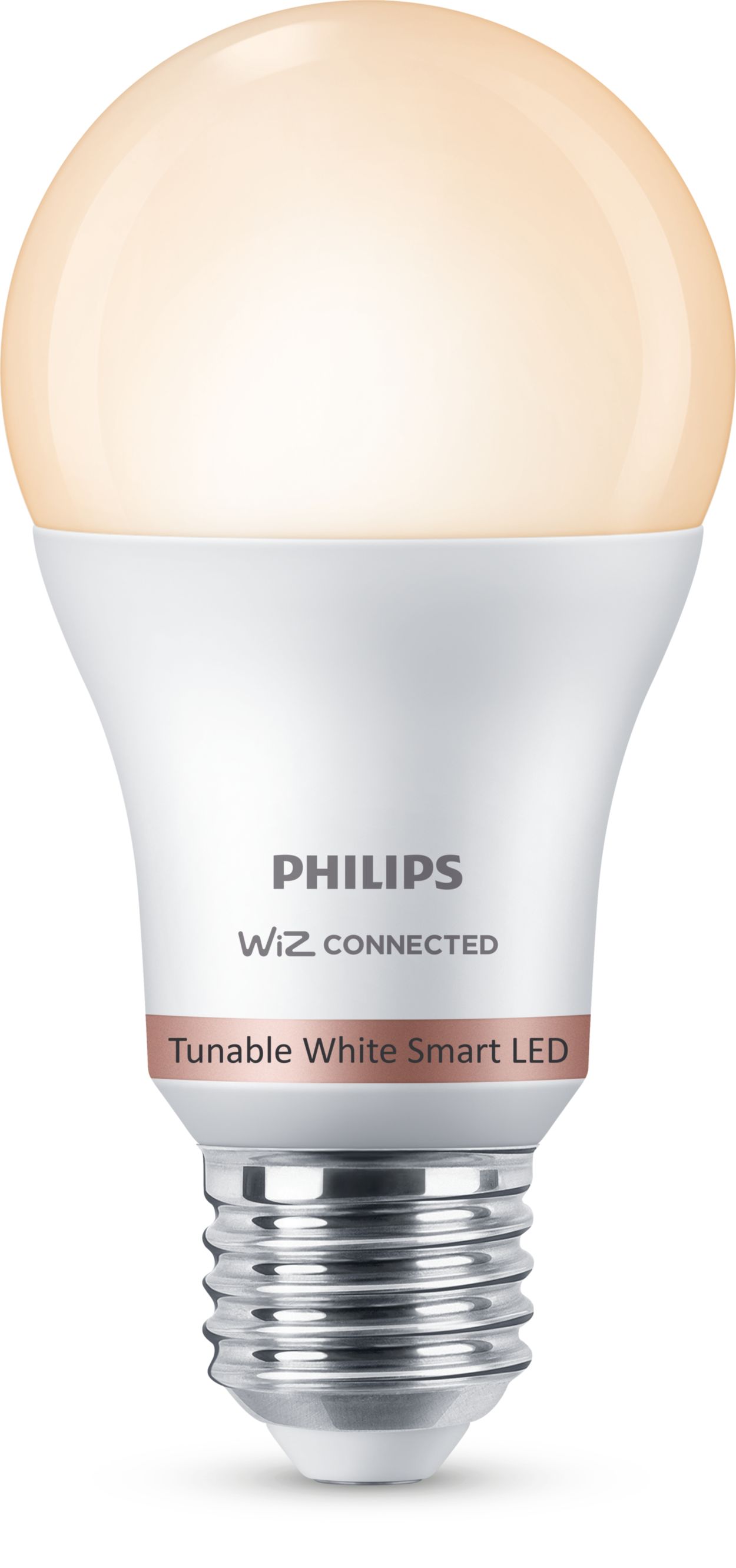 Bombillas LED inteligentes: controla la iluminación de casa con el  smartphone o asistente de voz y