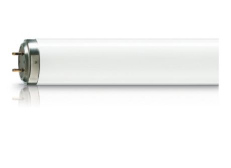 TL 20W/52 SLV/25