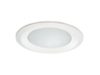 6150 Frost Glass Lens