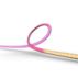 Hue White & Color Ambiance Hue Play gradient lightstrip 75"