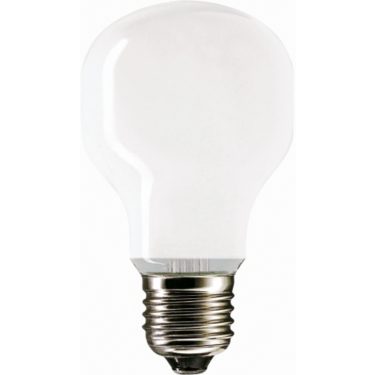 Philips E27 Ampoule LED A60 à intensité variable 100 W