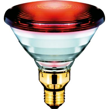 Philips IR ampoule infrarouge E27 150W dimmable