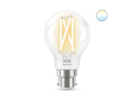 Filament clear A60 B22
