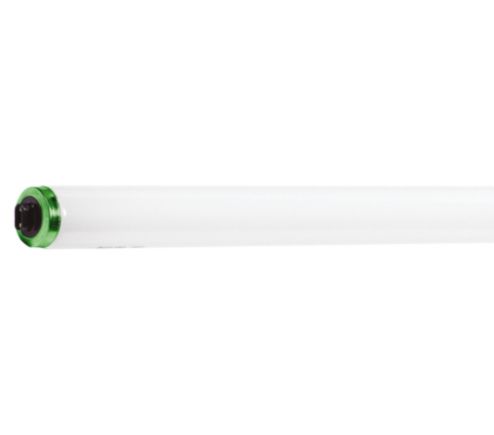 F48T12/CW/HO ALTO 15PK