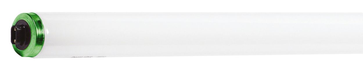 Environmentally Responsible Lamps