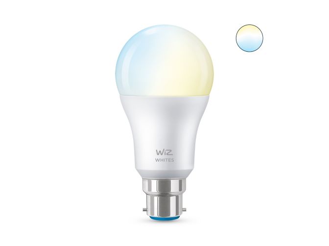 main.alt.text.RTP.Bulb 60W A60 B22