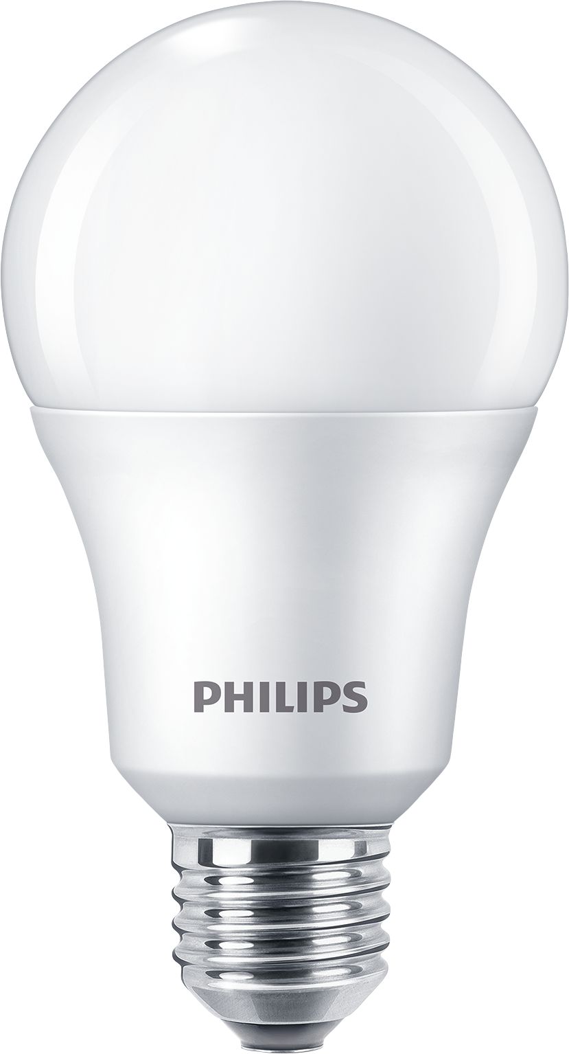 Light Bulb Socket Types Australia Shelly Lighting