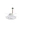 Functional Downlight