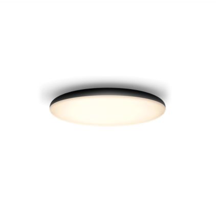 main.alt.text.RTP.Cher ceiling light