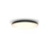 Hue White ambiance Cher 吸頂燈